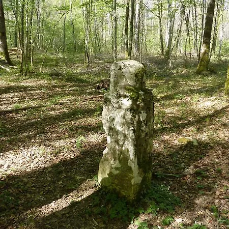 La Brevonniere Oda ve Kahvaltı *